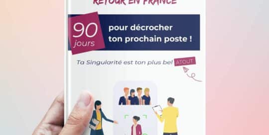 mise en page livre 90 jours pour décrocher un job